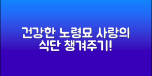 건강한 고양이노령묘식단, 사랑으로 챙겨주기!