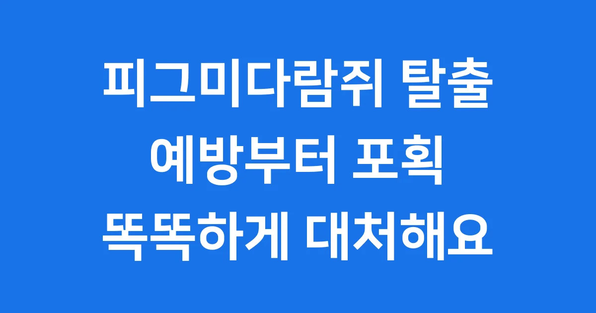 피그미다람쥐 탈출 대처법 예방 노하우