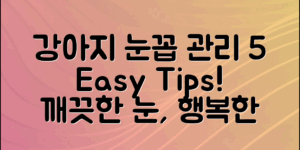 강아지 눈꼽 관리의 모든 것: 5가지 쉬운 팁