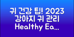 2023년 강아지 귀 관리법, 건강한 귀를 위한 팁!