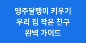 명주달팽이 키우기 우리 집 작은 친구 완벽 가이드