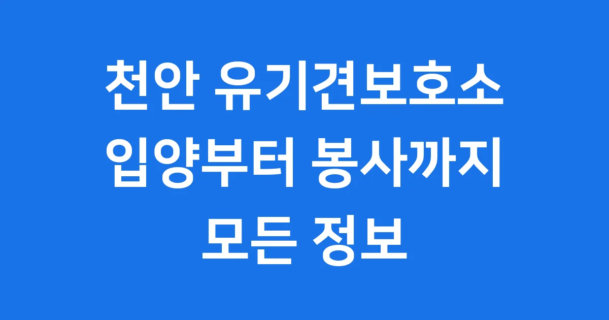 천안 유기견보호소 입양 봉사 방법 2025년