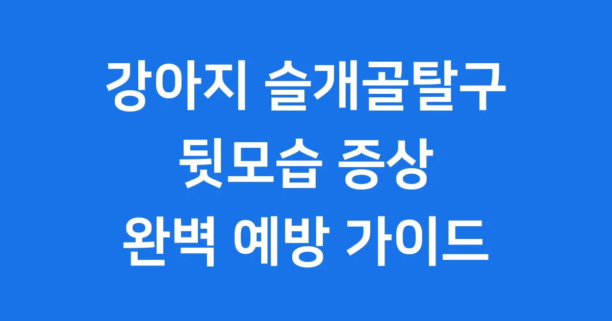 강아지 슬개골탈구 뒷모습 증상과 예방법
