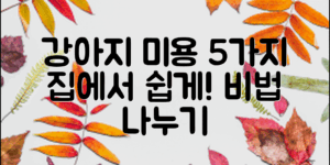 강아지방문미용팁: 집에서 쉽게 하는 5가지 비법