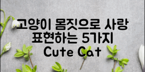 고양이 몸짓 언어로 사랑 표현하는 법 5가지