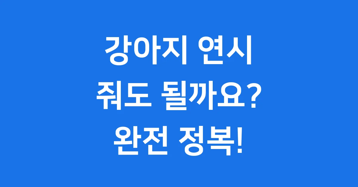 강아지 연시 줘도 될까요 위험성과 안전한 대안