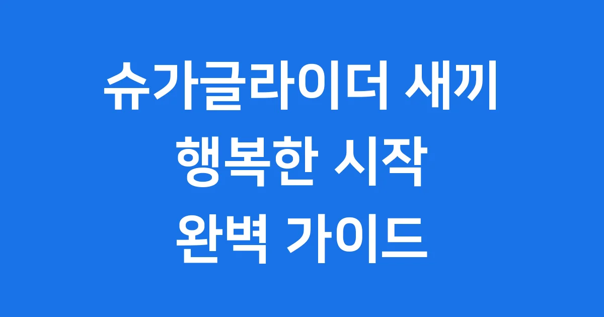 슈가글라이더 새끼 키우기 행복한 시작을 위한 모든 것