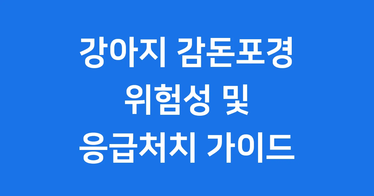강아지 감돈포경 생식기 안 들어갈 때 대처법