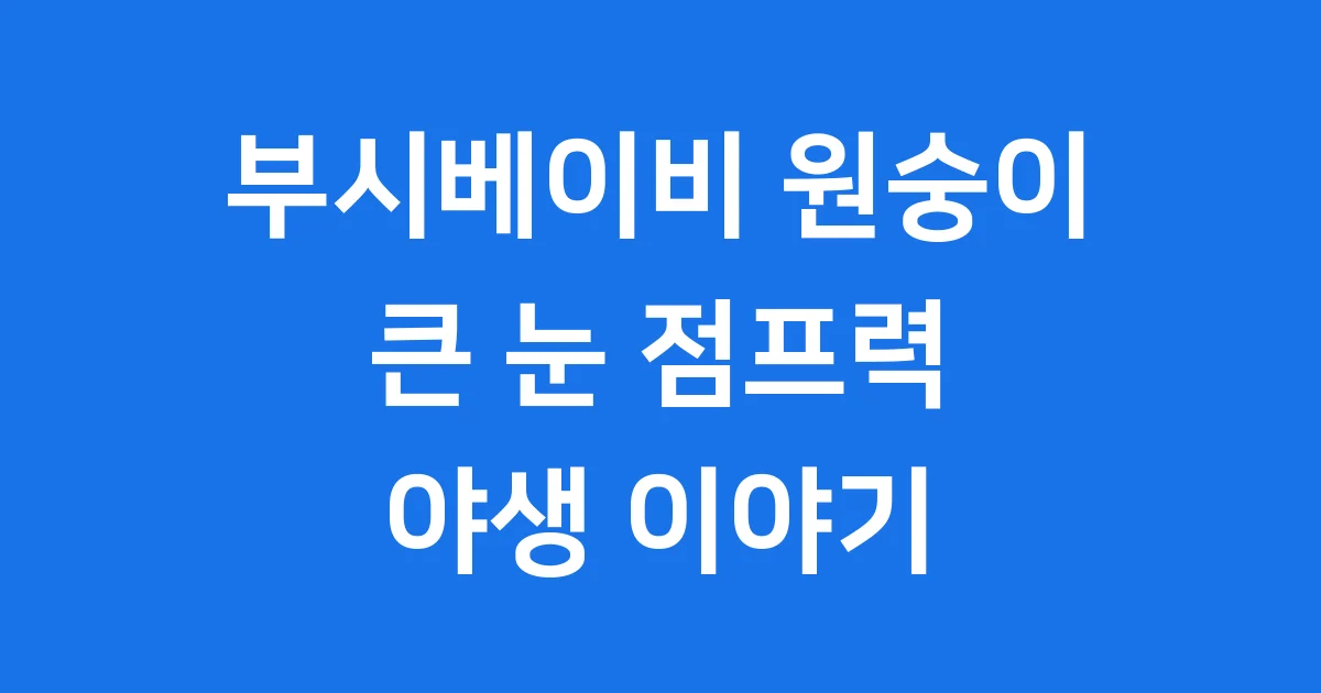 부시베이비 원숭이: 큰 눈과 점프력의 야행성 영장류 특징 총정리