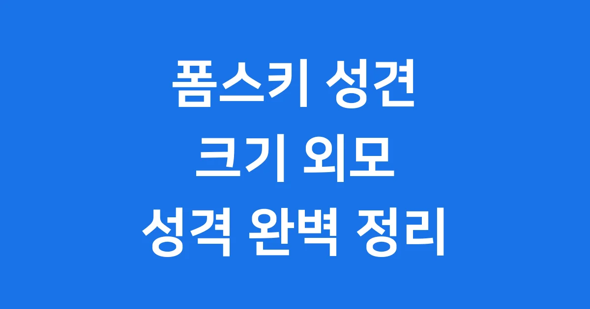 폼스키 성견 크기 외모 성격 완벽 정리