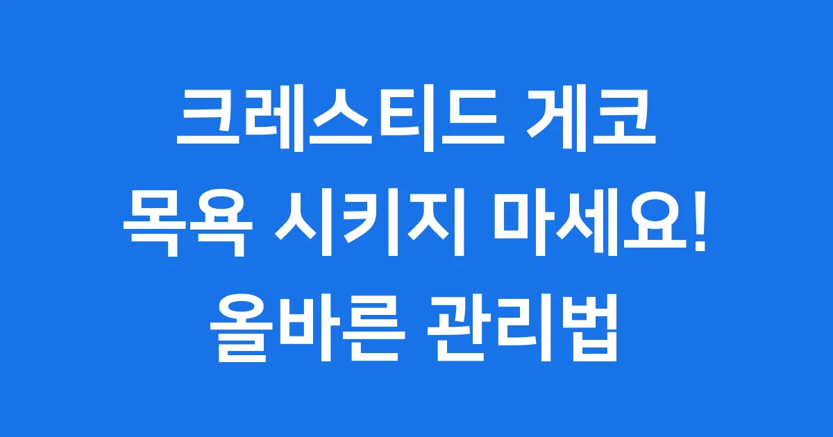 크레스티드 게코 목욕 정말 필요할까요 올바른 관리법
