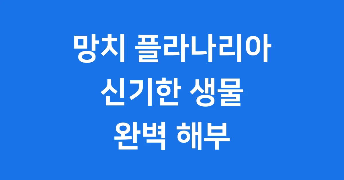 망치 플라나리아 신기한 생물 특징 재생력 알아봐요