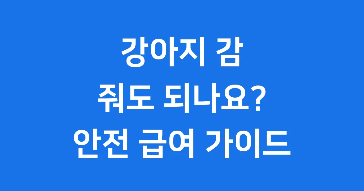 강아지 감 줘도 되나요 안전하게 먹이는 법
