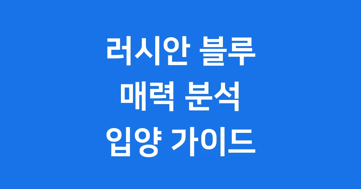 러시안블루 고양이 특징 성격 분양 입양 가이드