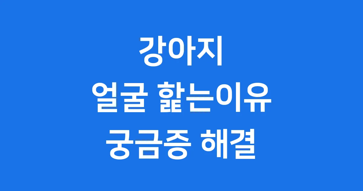 강아지가 얼굴 핥는이유 강아지 마음 알아보기