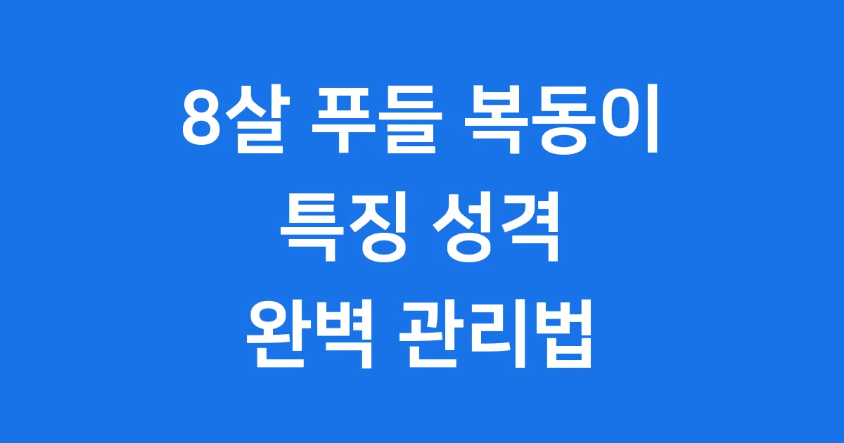 푸들 복동이 특징 성격 건강 관리법