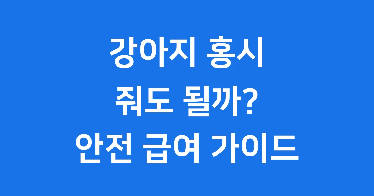 강아지 홍시 줘도 되나요 급여량 주의할 점