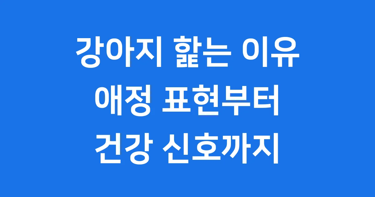 강아지 핥는 이유 애정 표현 복종 신호 건강 문제