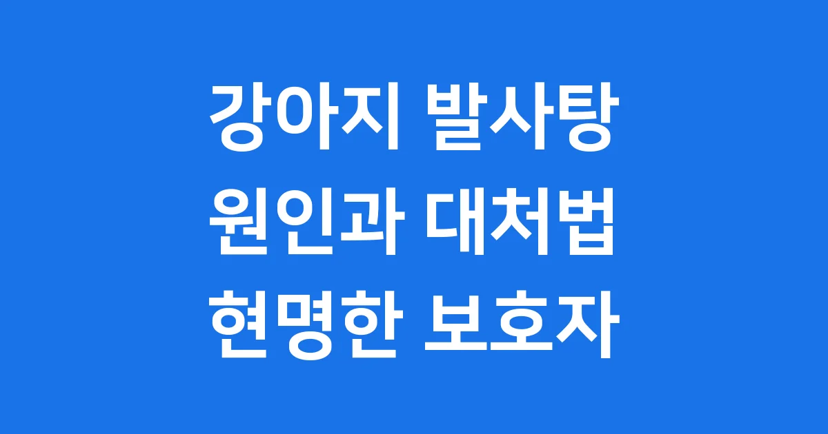 강아지 발 핥는이유 원인과 대처법