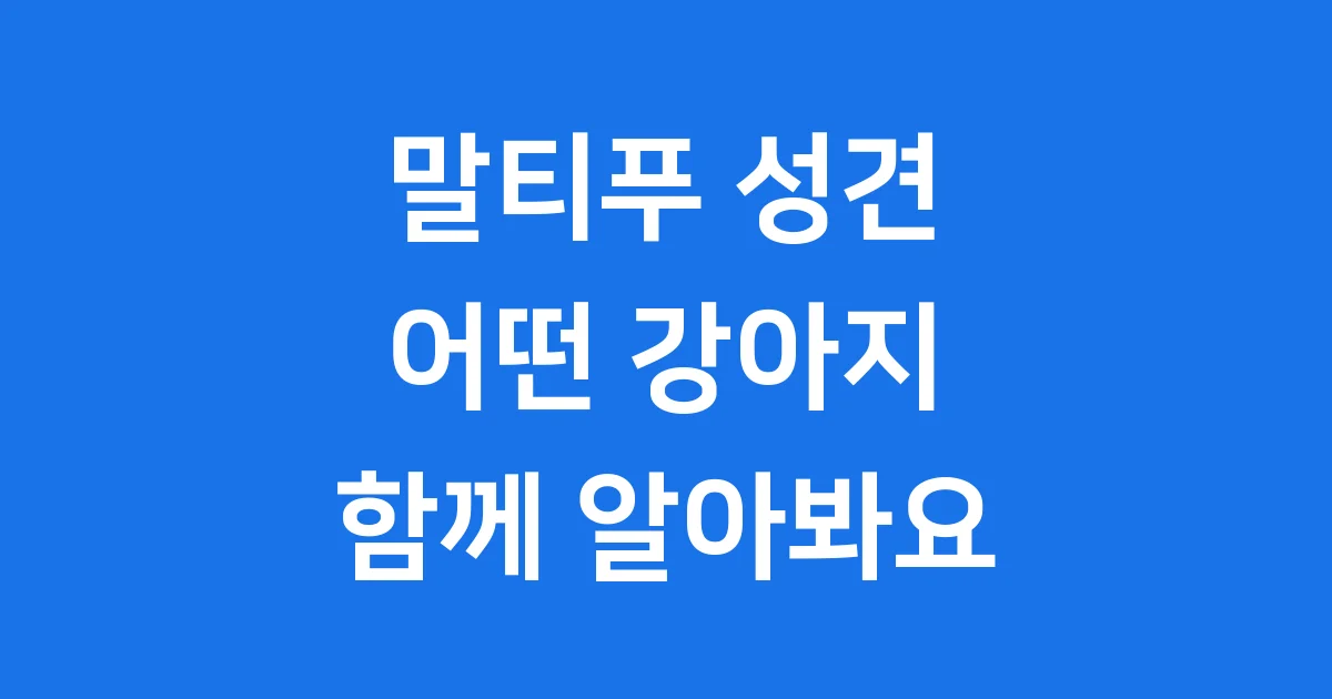 말티푸 성견 성격 특징 털빠짐 크기 알아보기