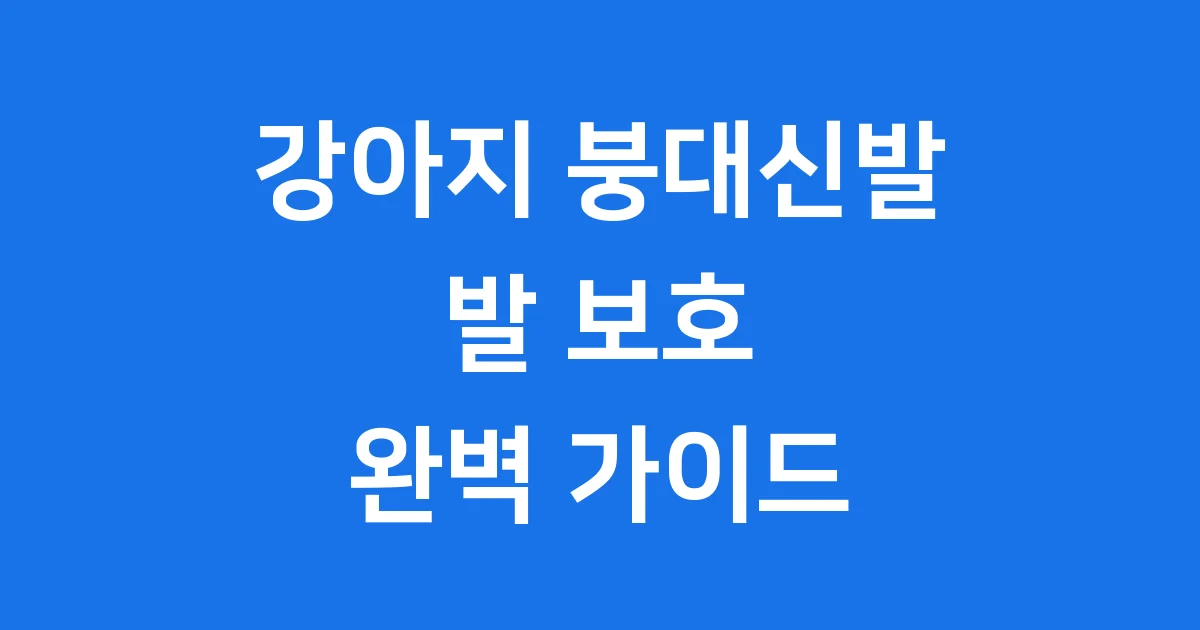 강아지 붕대신발 우리 강아지 발 보호 완벽 가이드