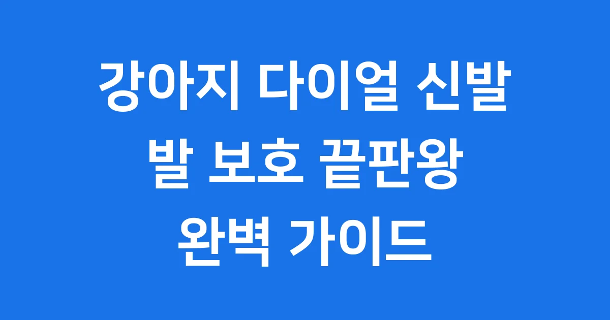 강아지다이얼신발 장점 기능 콩쓰몰리 자세히 알아보기