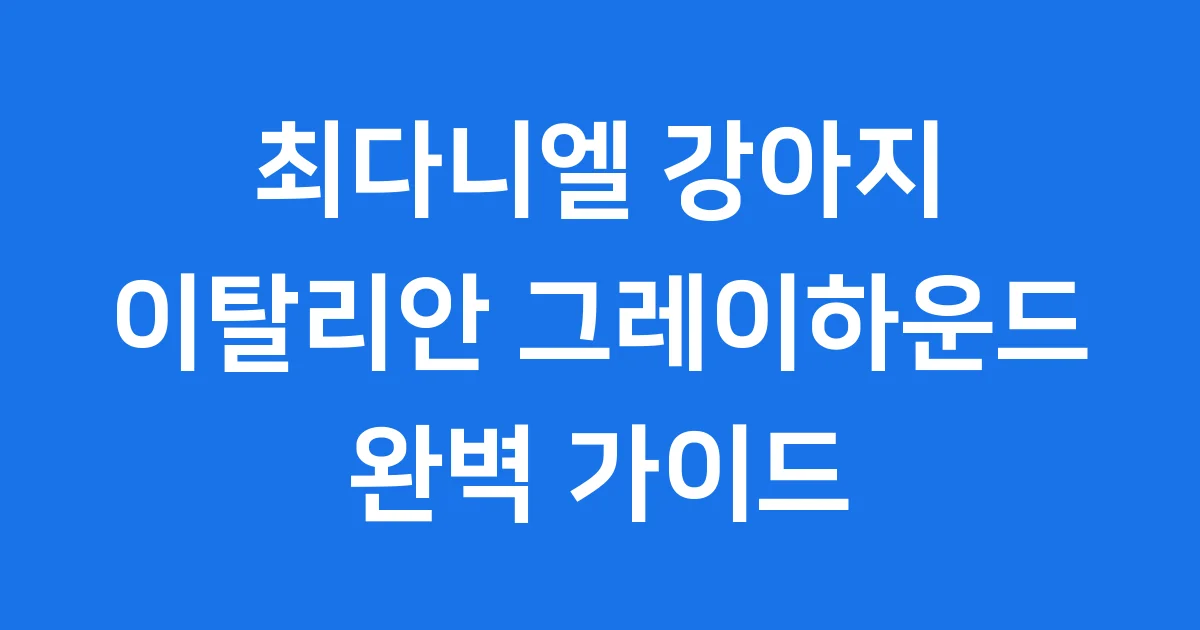 최다니엘 강아지 이탈리안 그레이하운드 품종 특징