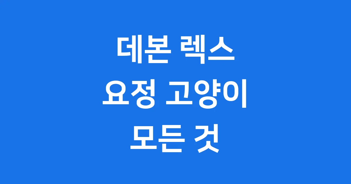 데본렉스 요정고양이 특징 성격 분양가