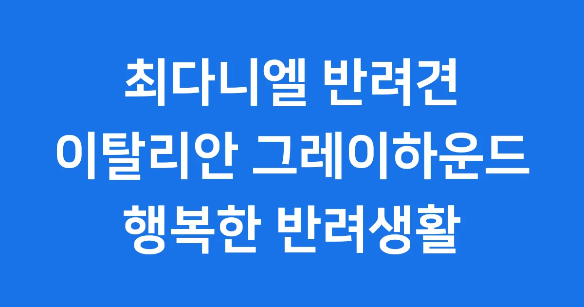 최다니엘 강아지 품종 이탈리안 그레이하운드 특징